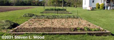 Raised beds nearly planted