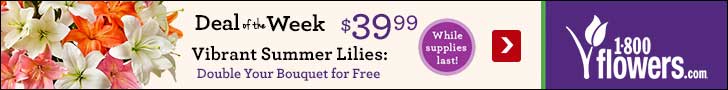 Deal of Week