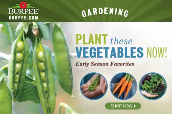 Burpee Seed Company