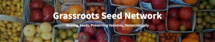 Grassroots Seed Network