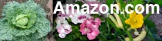 Amazon Patio, Lawn, & Garden