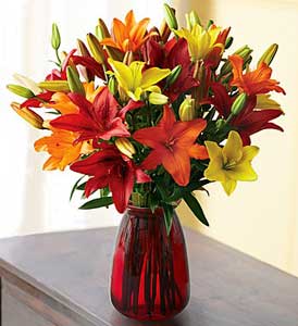 Autumn Lillies