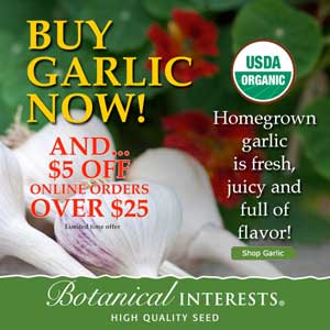 Garlic from Botannical Interests
