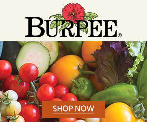 Burpee Seed Company