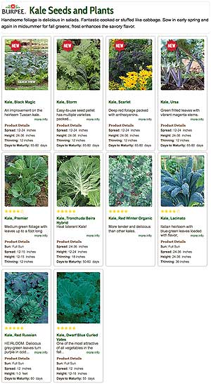 Kale Plants and Seed from Burpee Gardening
