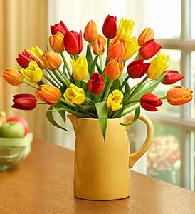 Assorted Fall Tulips