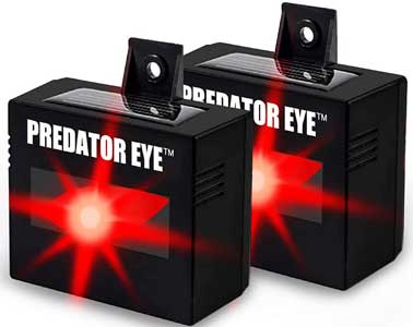 Predator Eye Animal Deterrent