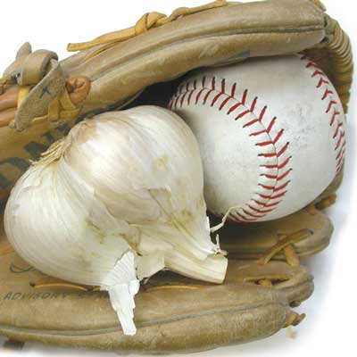 Elephant garlic from Territorial Seeds