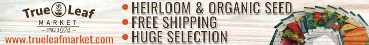 Free Shipping on Orders over $35