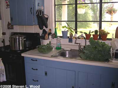 Kale in sink