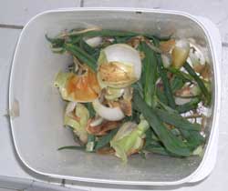 compost