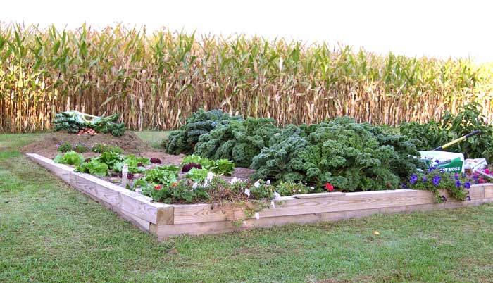 Raised bed