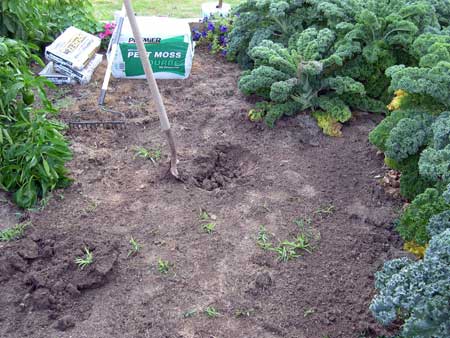 Area for the sump