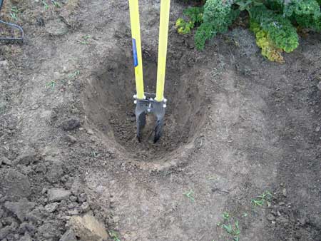 Hole begins