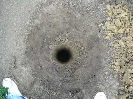 The hole