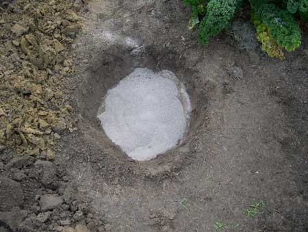 a bit more sand fill