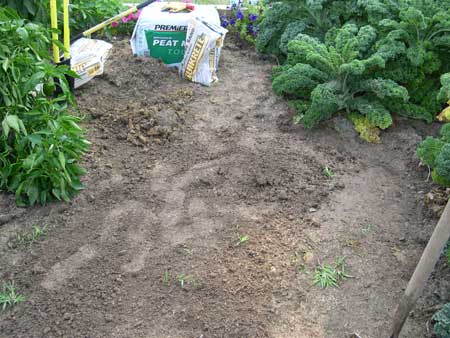 Hole fillled with topsoil