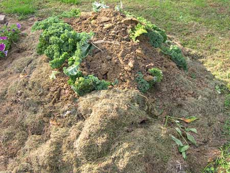 Clay on compost pile