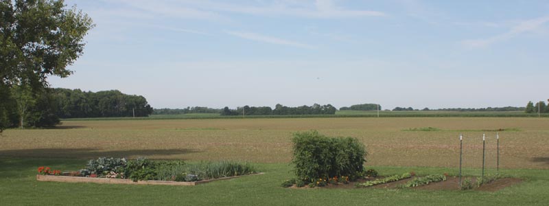 The Senior Garden - 2009