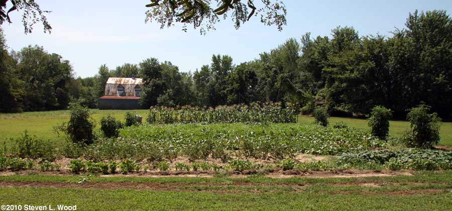 East Garden - 2010