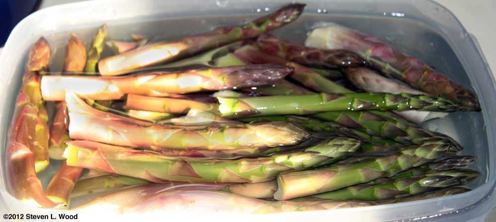 Asparagus