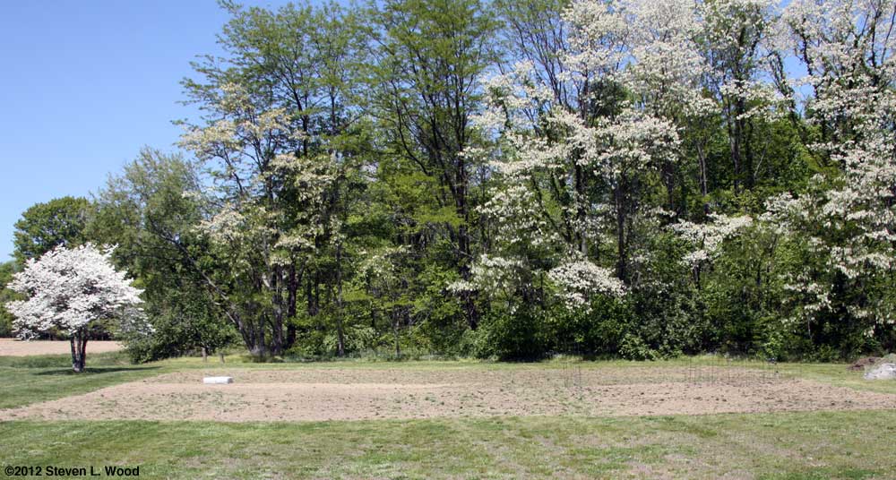 East Garden - April, 2012