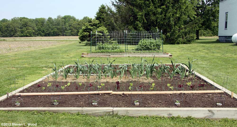 Main raised bed