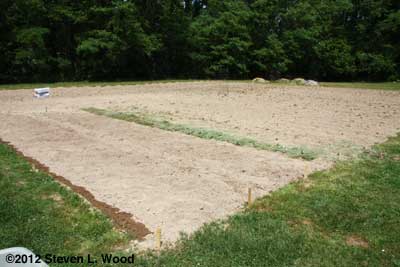 Extra row brassicas