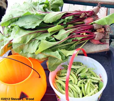 Beets and peas