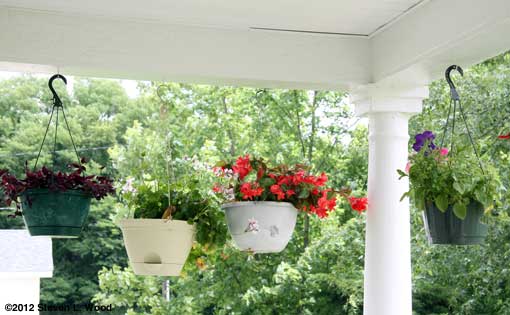 Hanging baskets