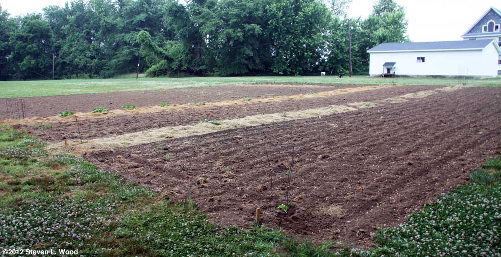 East Garden May 31, 2012