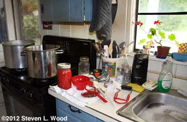 Canning tomatoes