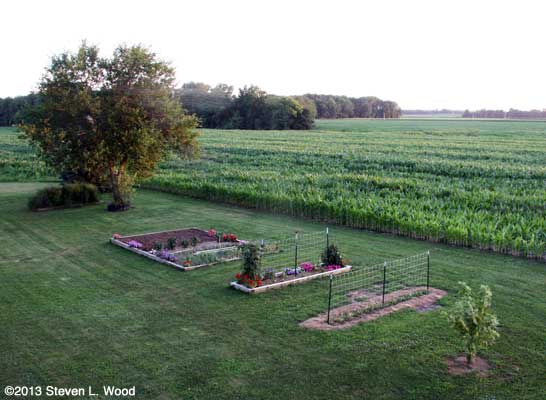 The Senior Garden - July 15, 2013