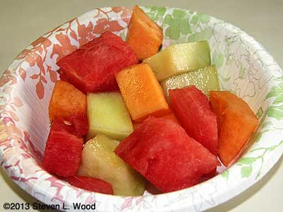 Melon bowl