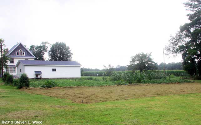 Our East Garden - August 6, 2013