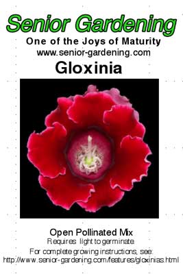 Gloxinia envelope 1