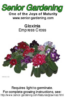 Gloxinia envelope 2