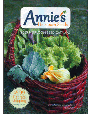 2015 seed catalog covers