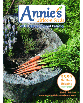 2016 seed catalog covers