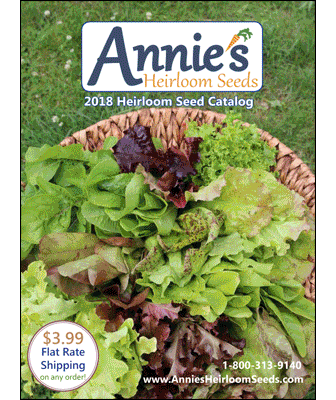 2018 seed catalog covers