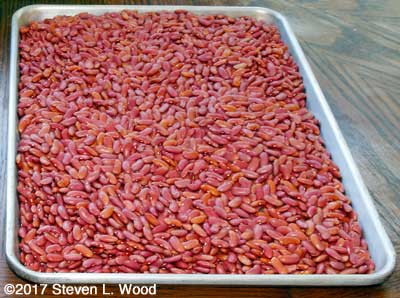 Kidney beans drying