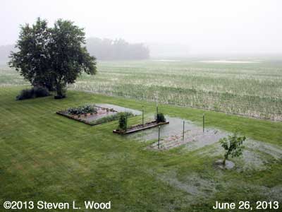 Standing water in main garden