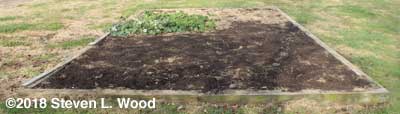Plot B, our main raised garden bed