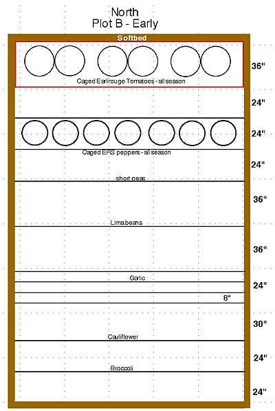 Plot B, our main raised bed