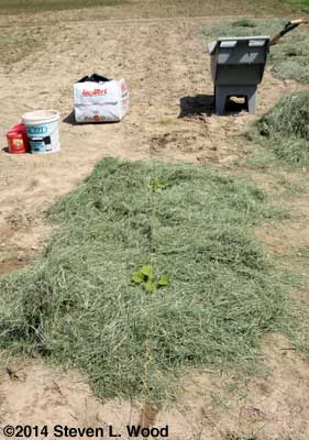 Mulching down the row