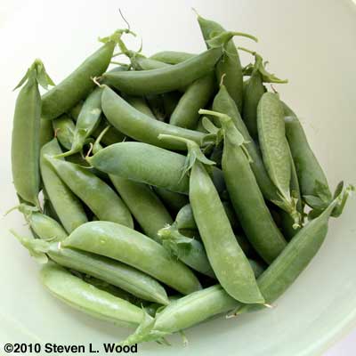 Peas