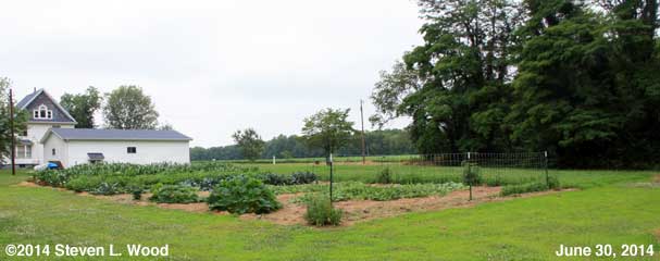Our East Garden - June 30, 2014
