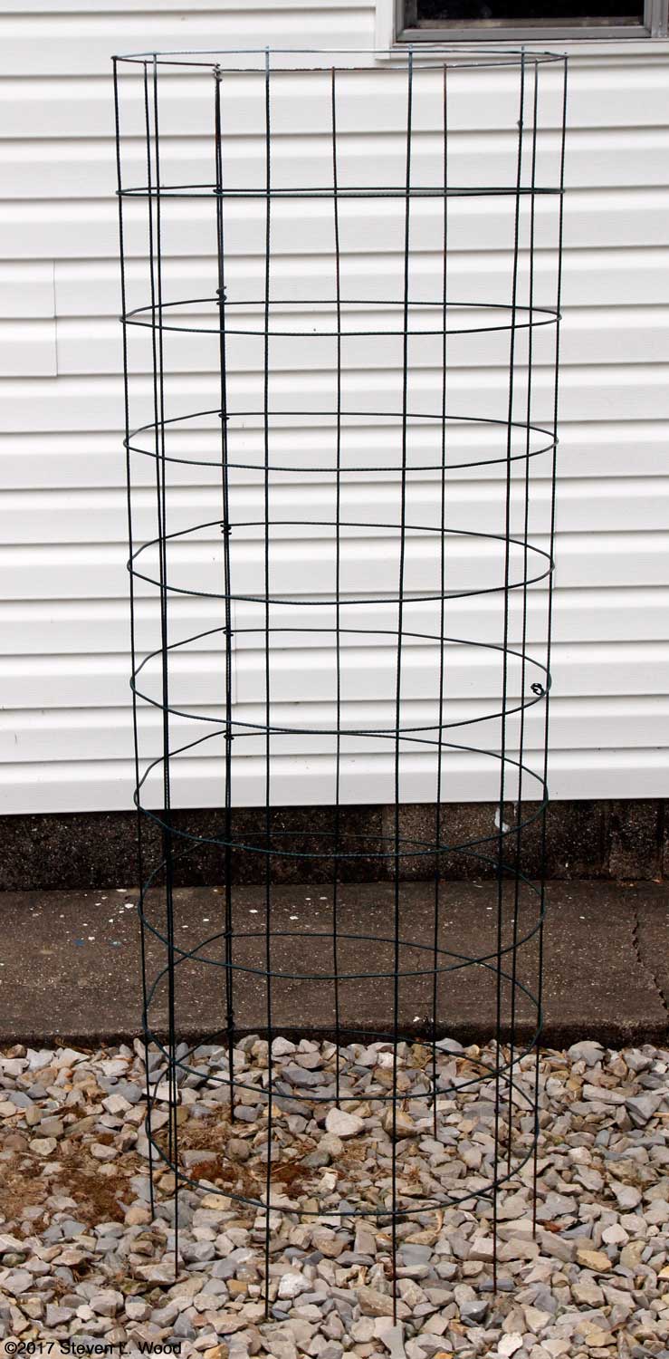 Senior Gardening Our Tomato Cages