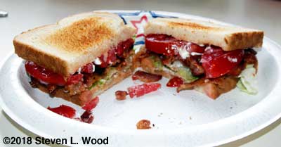 Bacon, lettuce, and tomato sandwich
