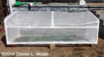Cold frame propped open